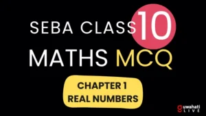 SEBA CLASS 10 MATHS CHAPTER 1 MCQ | REAL NUMBERS CLASS 10 MCQ SEBA HSLC